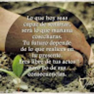 Meet your Posher, Tony